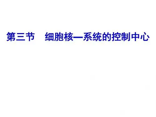 高一生物细胞核(1)
