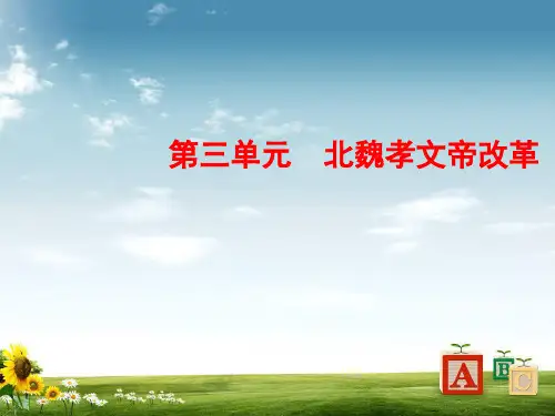 【精品】高中历史人教版选修一课件：3-3促进民族大融合