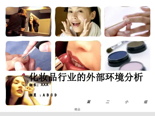 2018年化妆品行业的宏观环境分析(模板)演示课件.ppt