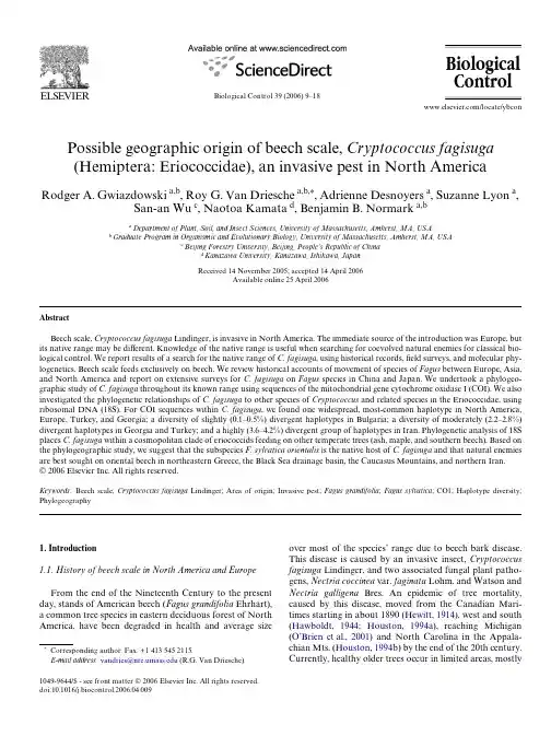 Possible geographic origin of beech scale, Cryptococcus fagisuga (Hemiptera Eriococcidae), an invasi