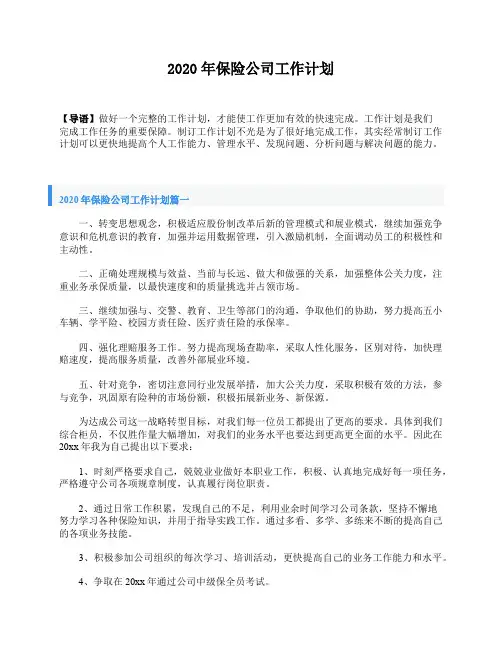 2020年保险公司工作计划