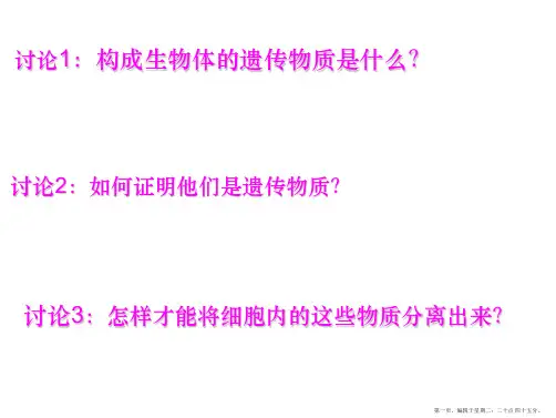 高中生物选修一 DNA的粗提取与鉴定