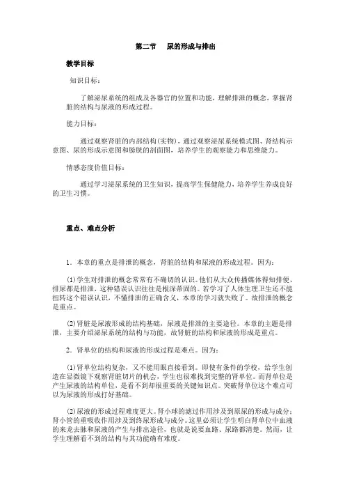 尿的形成与排出