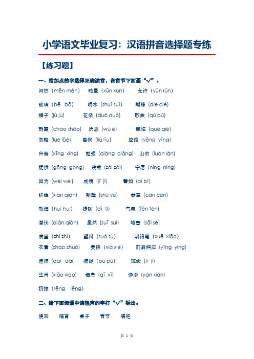 小学语文毕业复习：汉语拼音选择题专练