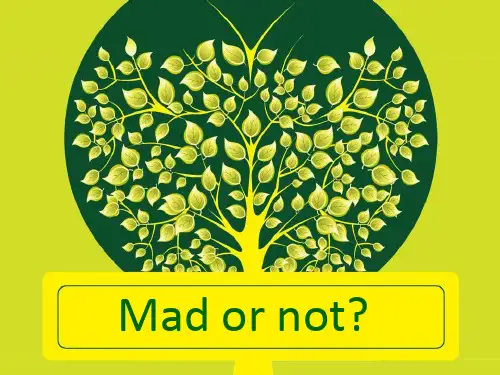 新概念英语第二册Lesson21 Mad or not课件