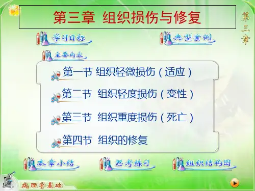 第三章组织损伤与修复 PPT