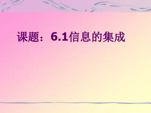 信息集成