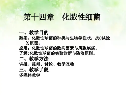 淋病奈瑟菌球形