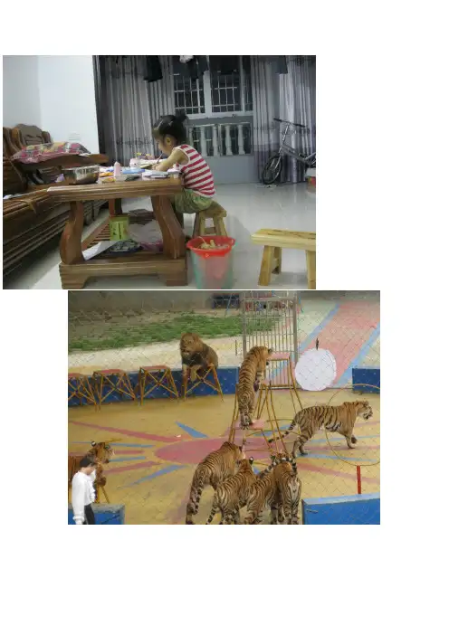 阿狸与桃子                                下次见辛苦不要生气哦