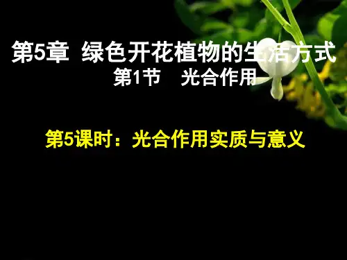 北师大版七年级生物上册 3.5.1 光合作用 课件(共15张PPT)
