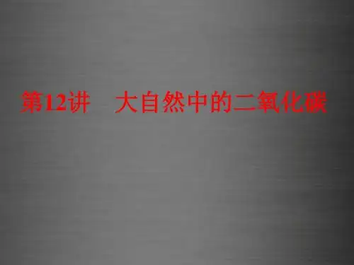 【备战策略】2016中考化学一轮复习 教材梳理阶段练习 第12讲 大自然中的二氧化碳课件 鲁教版