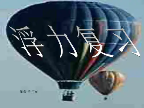 初三物理下学期浮力复习-粤教沪科版(201908)