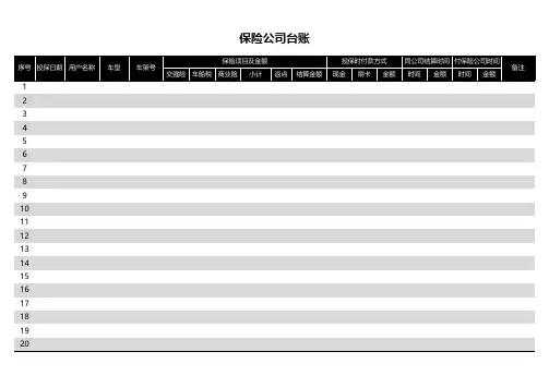 保险公司台帐表格