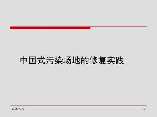污染场地的修复实例(课堂PPT)