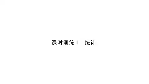 小升初数学总复习导练课件-第六章 统计与概率- 课时训练1 统计∣北师大版(秋) (共20张PPT)
