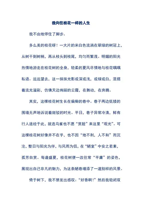 初中优秀作文——我向往桂花一样的人生