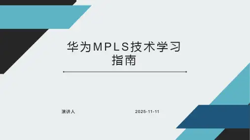 华为MPLS技术学习指南