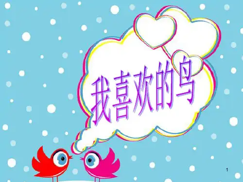 我喜欢的鸟ppt课件