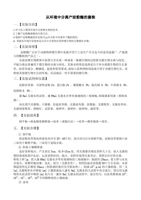 从环境中分离产淀粉酶的菌株