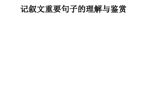 记叙文重要句子的理解与鉴赏