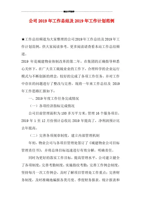 公司2019年工作总结及2019年工作计划范例