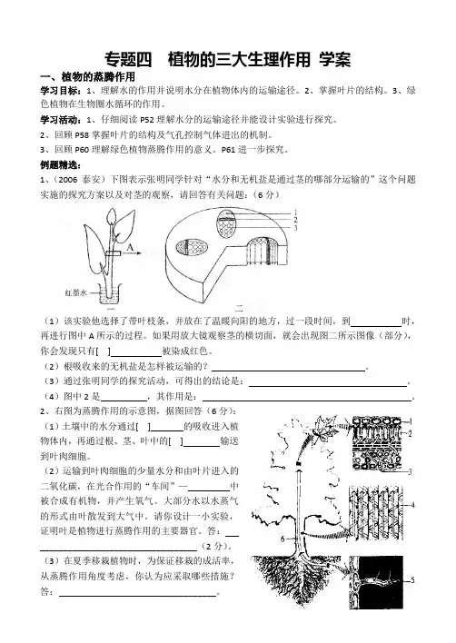 专题四    植物的三大生理作用