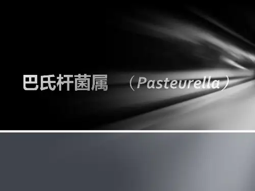 巴氏杆菌