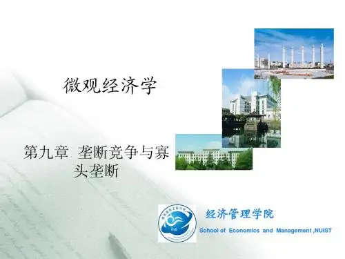 微观经济学第九章 垄断竞争与寡头垄断