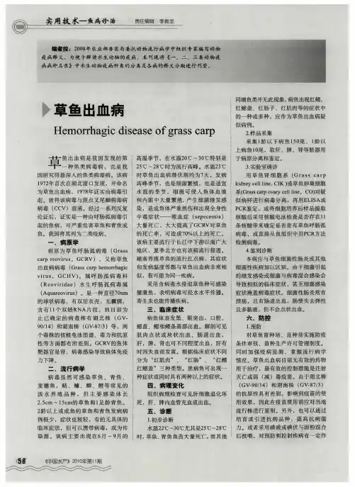 草鱼出血病