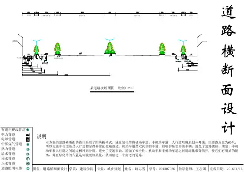 道路设计3