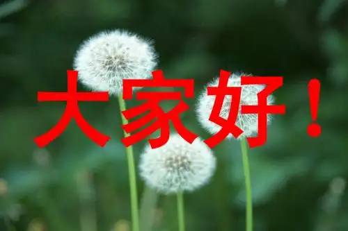 人教版历史九年级上册第21课 第一次世界大战
