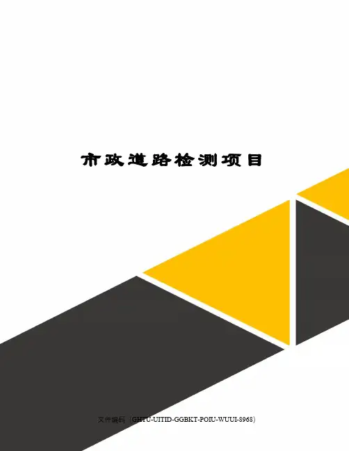 市政道路检测项目