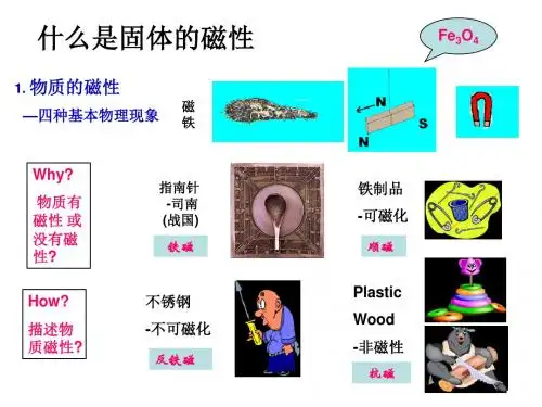 CH1-2-抗磁