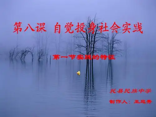 实践的特征