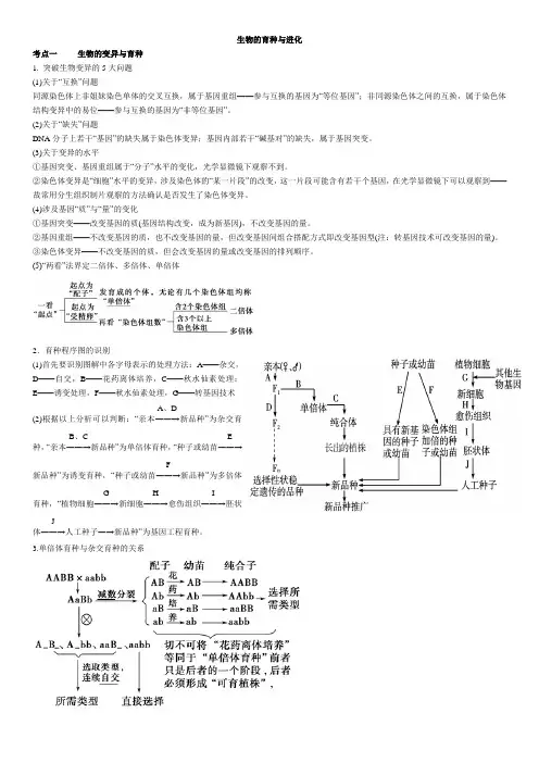 生物的变异、育种与进化