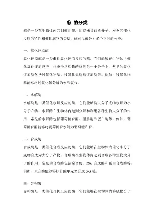 酶 的分类