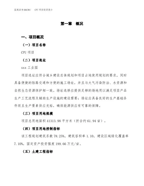 CPU项目投资简介