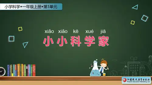 苏教版一年级科学《小小科学家》