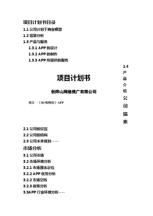 某网络推广有限公司项目计划书
