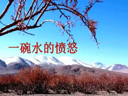 一碗水的愤怒