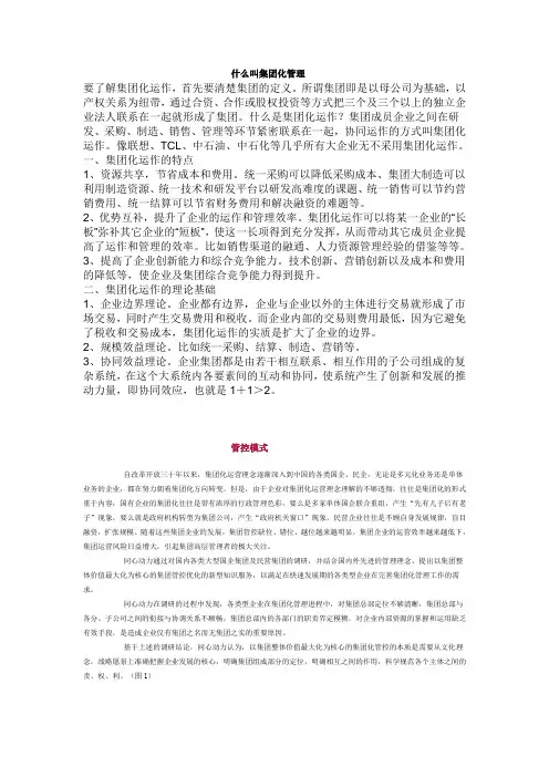 什么叫集团化管理