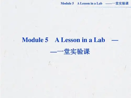 2013届高考英语外研版一轮总复习课件：必修一Module5