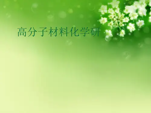 高分子材料化学研优秀课件
