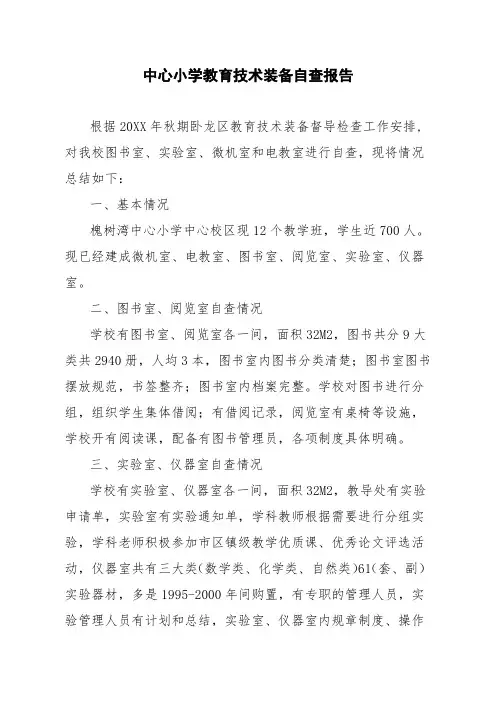 中心小学教育技术装备自查报告