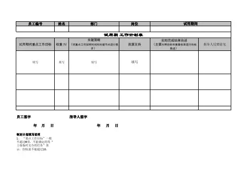 试用期工作计划表