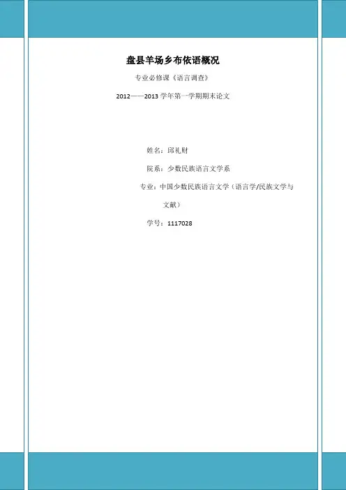 盘县布依语概况  期末作业