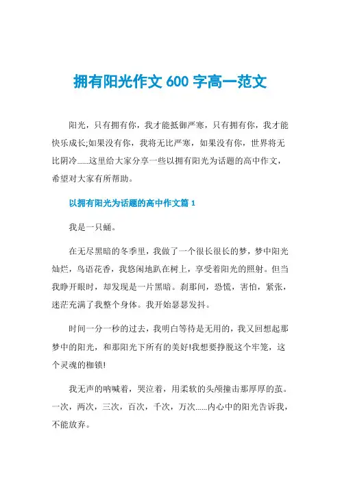 拥有阳光作文600字高一范文