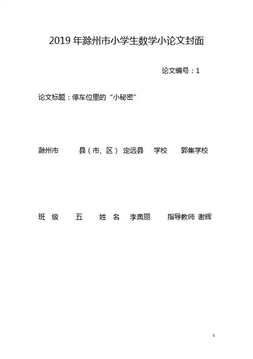 小学生数学小论文《停车位里的“小秘密”》