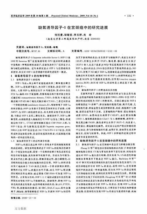 缺氧诱导因子-1在宫颈癌中的研究进展
