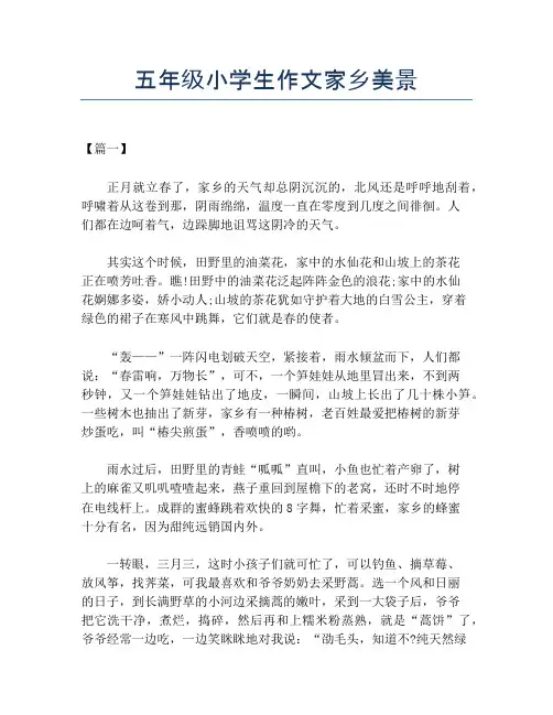 五年级小学生作文家乡美景